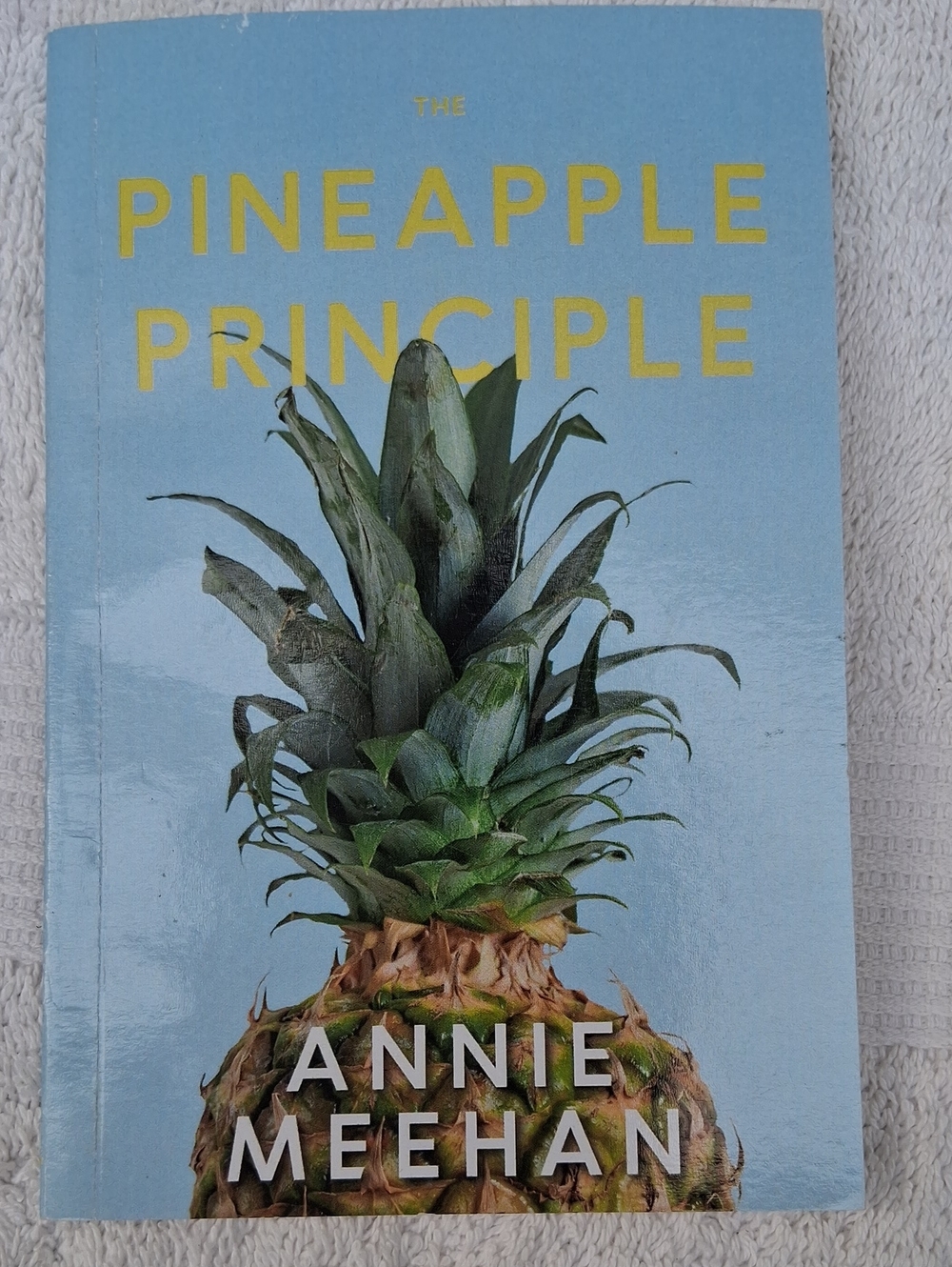 The Pineapple Principle by Annie Meehan - Blue Cover with Pineapple